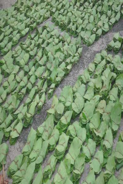 Tendu Leaves